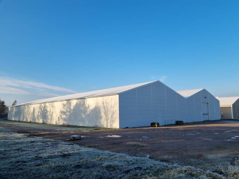 Roof restoration company Federal Eco Foam